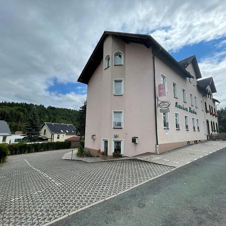 Pension Nadia Adorf Exteriör bild