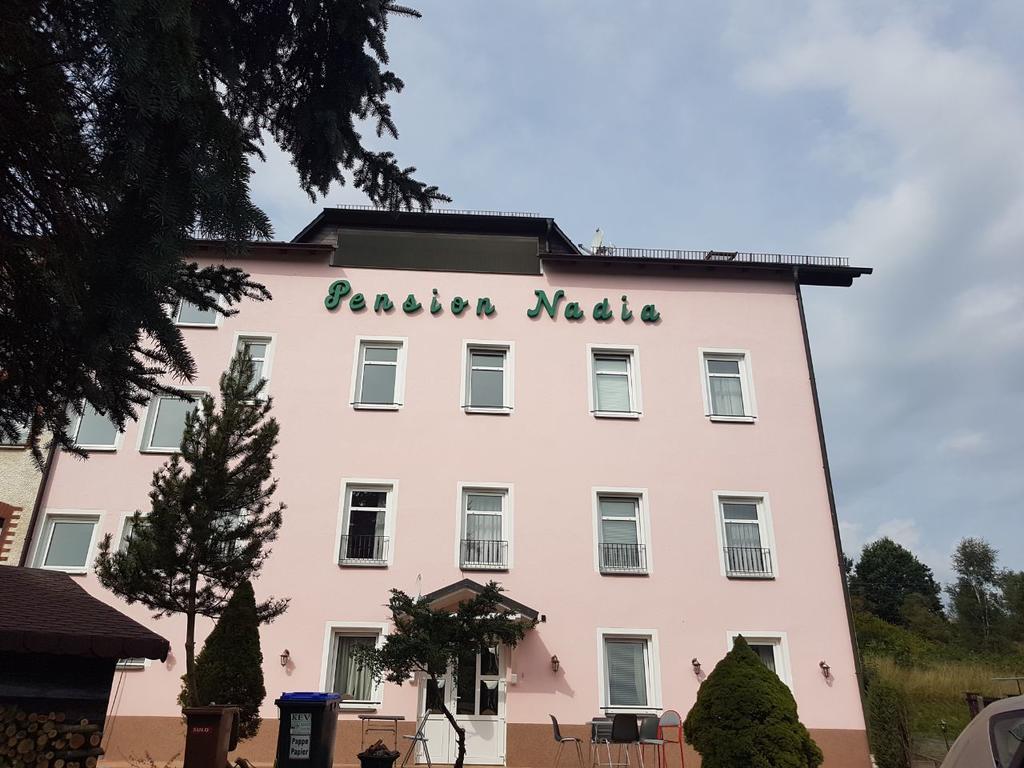 Pension Nadia Adorf Exteriör bild